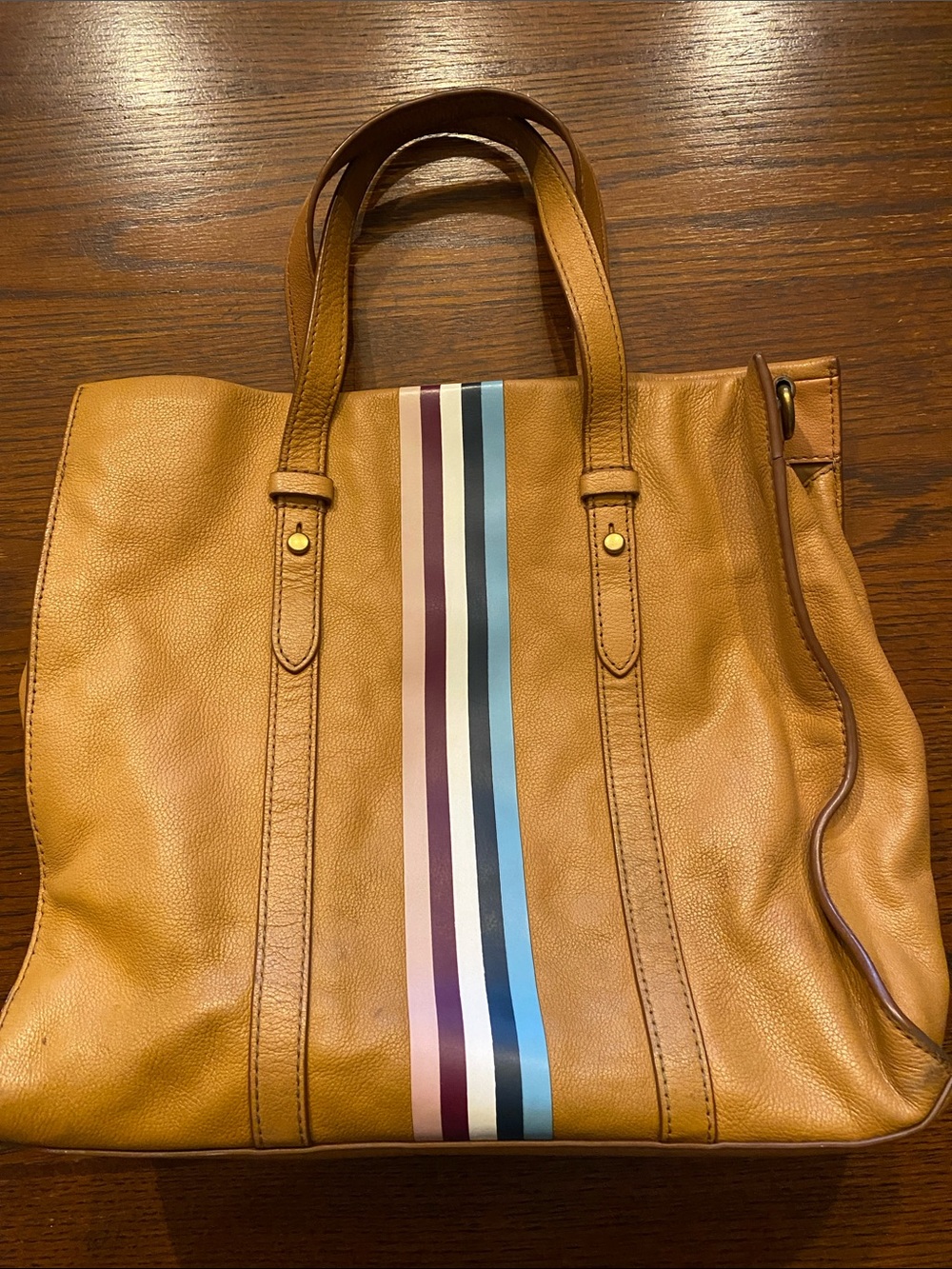 Fossil Tan Leather Tote with Multicolor Center Stripe